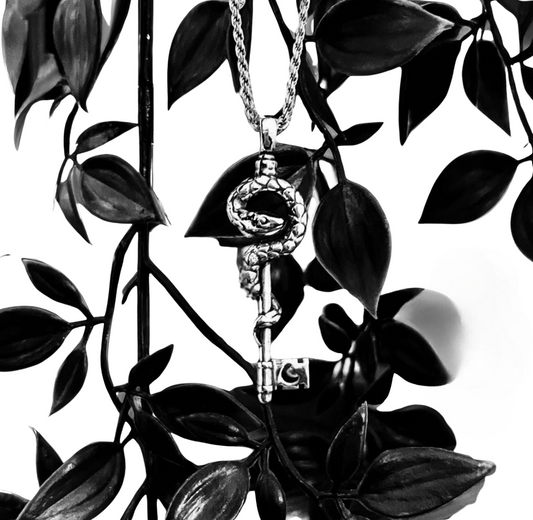 Snake Key Necklace